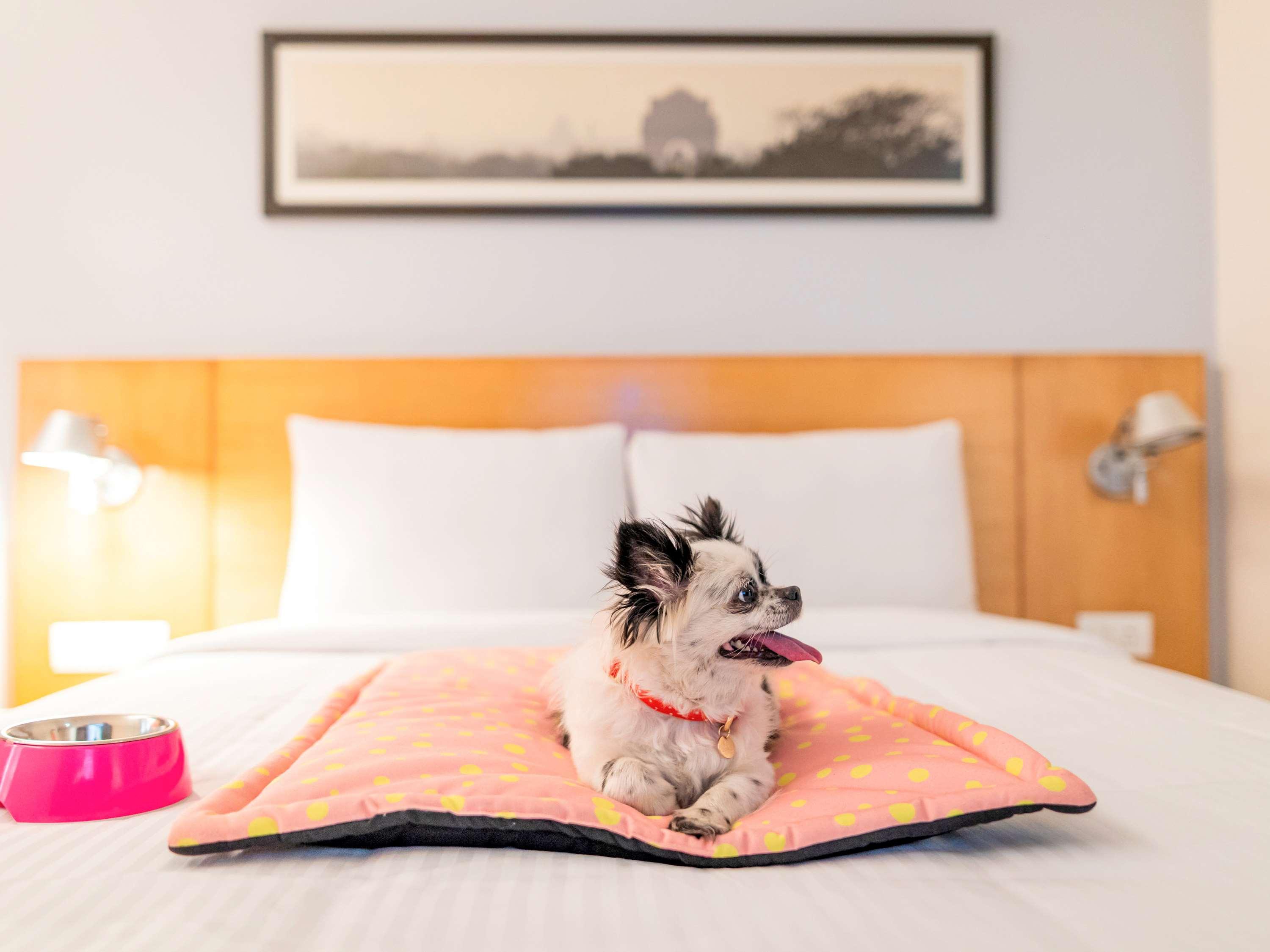 Hotel Ibis Bengaluru Hosur Road - An Accor Brand Zewnętrze zdjęcie