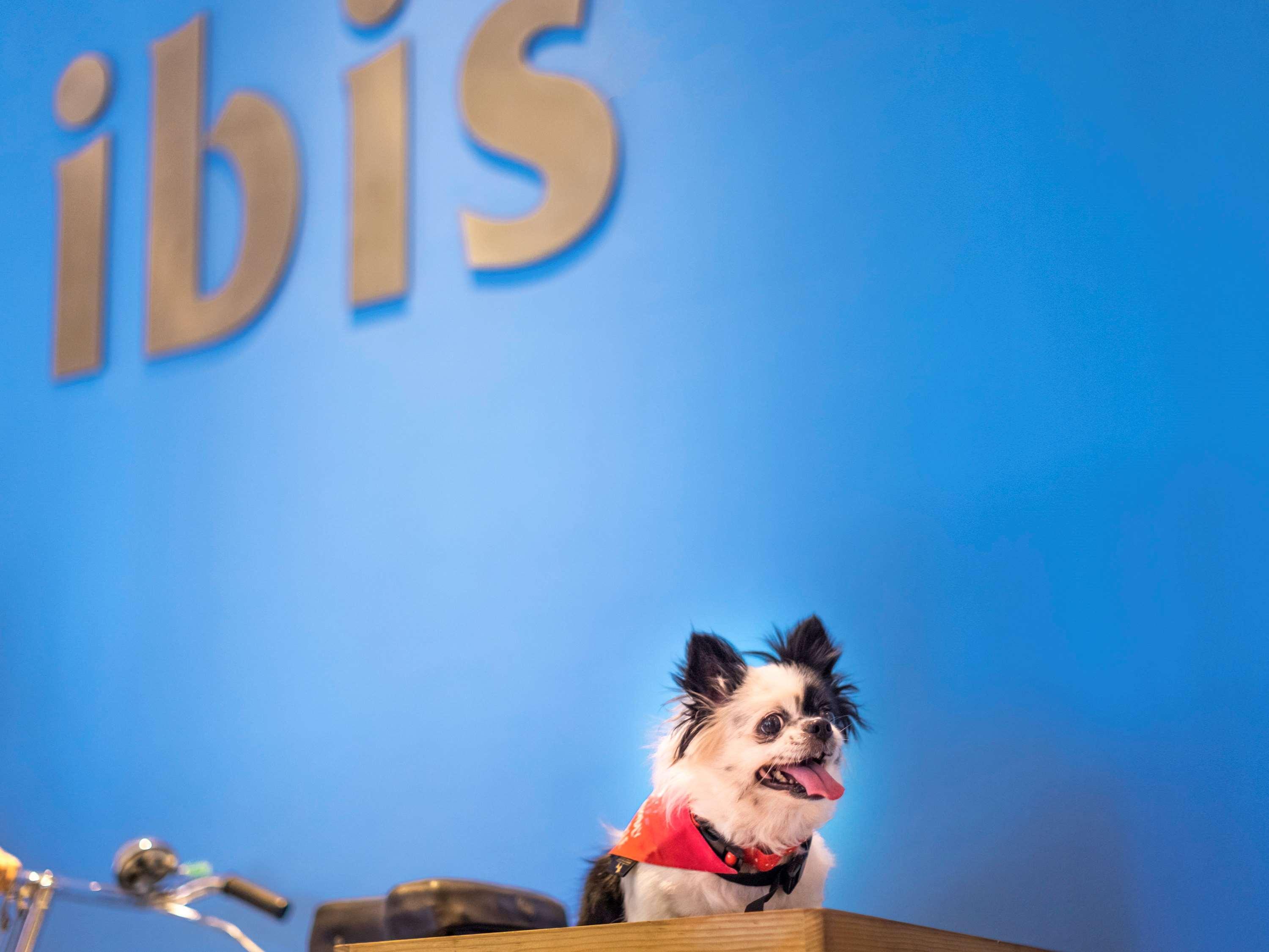 Hotel Ibis Bengaluru Hosur Road - An Accor Brand Zewnętrze zdjęcie